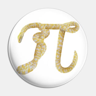 Pi-thon Pin