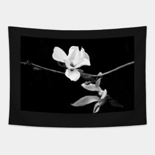 Magnolia Branch Black and White Photography Tapestry