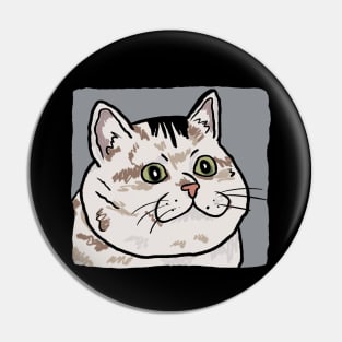 Sad cat Pin