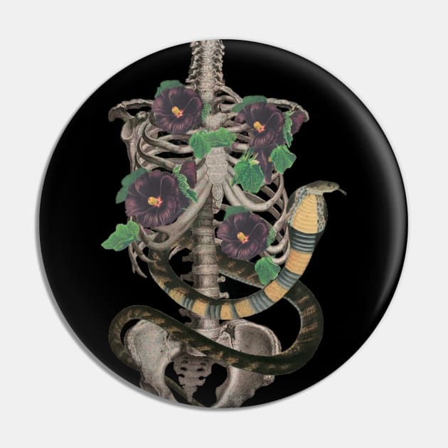 Costas Mortiferum Pin by Black Rabbit Curiosities 