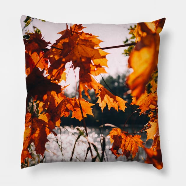 Fall Autumn Leaves Photography Pillow by Art by Eric William.s