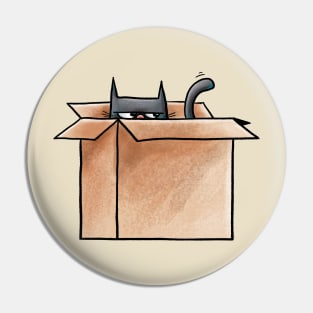 Cat in a Box Pin