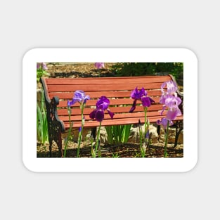 Bench and Iris Magnet