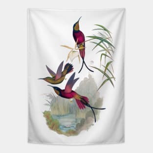 Hummingbirds Tapestry