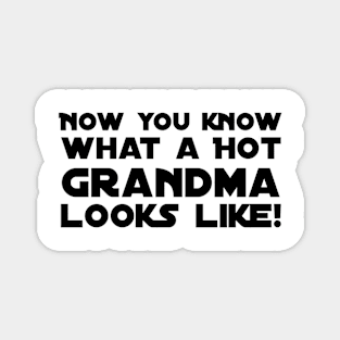 Now you know what a Hot Grandma looks like! Magnet