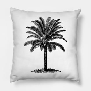 Vintage Palm Tree Pillow