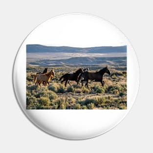 Wild Mustangs Pin