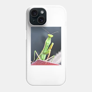 Praying Mantis Macro Photo Phone Case