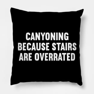 Canyoning Because Stairs are Overrated Pillow