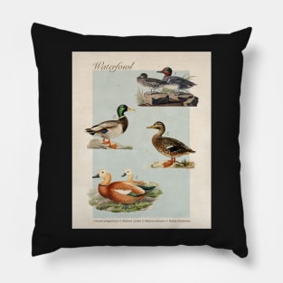 Duck Vintage-Inspired Encyclopedia Page Pillow