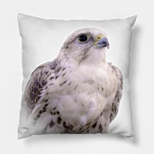 Up Close and Personal with a Stunning Saker Falcon Pillow