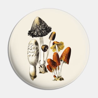 Mushrooms and Fungi Pin