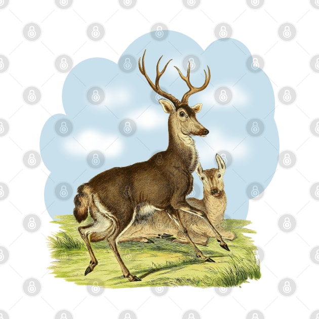 Deers Colorful Illustration by Biophilia