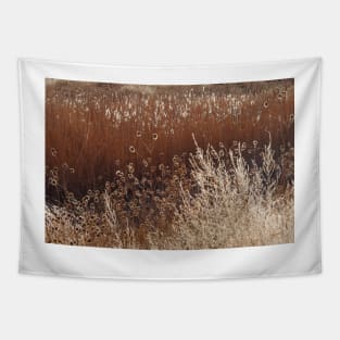 Morning Light Melody Tapestry