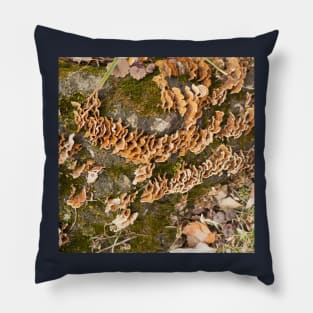 Bracket fungus Pillow