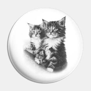 Double Dose of Kitten Cuteness Pin