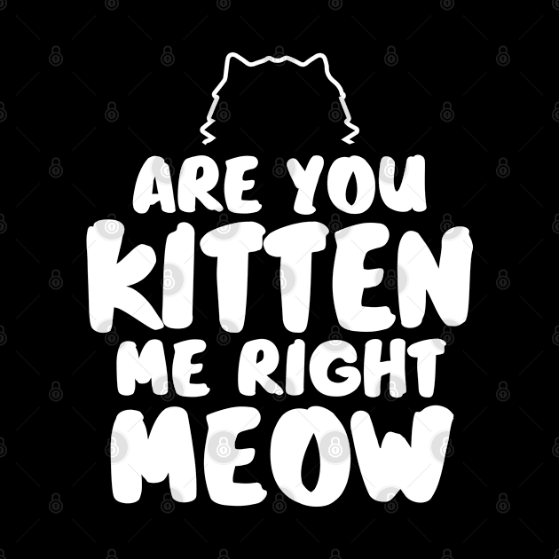 Are You Kitten Me Right Meow by pako-valor