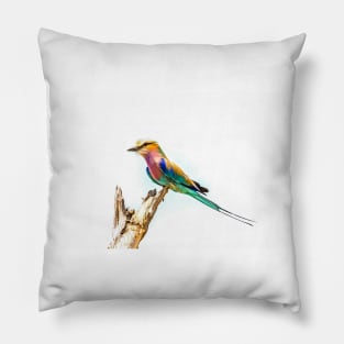 Beautiful Lilac Breasted Roller Pillow