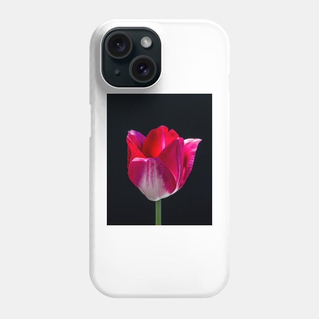 Red Tulip In Profile 3 Phone Case by Robert Alsop