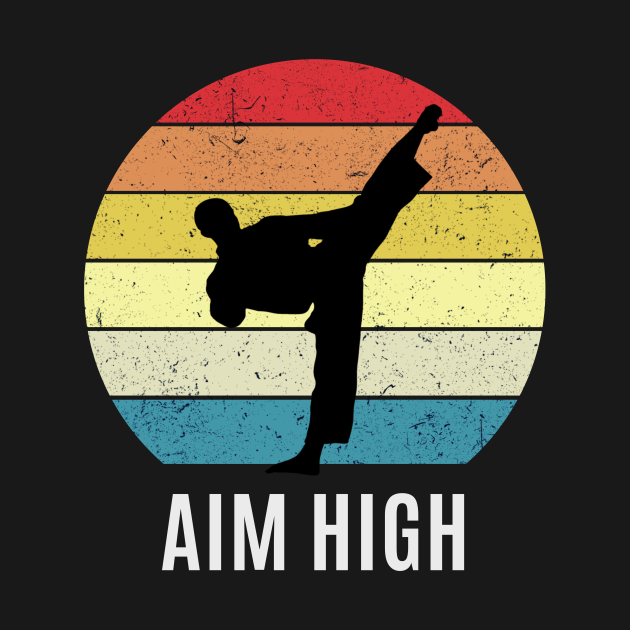 aim high academy of martial arts