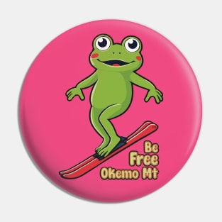 Cute Frog Skiing Okemo Mountain Pin