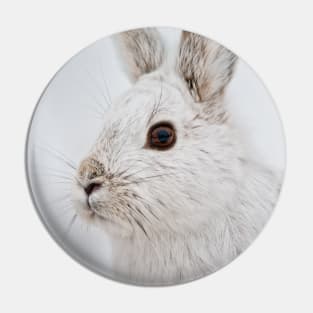 Snow Shoe Hare Pin