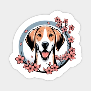 American Foxhound Enjoys Spring with Cherry Blossoms Magnet