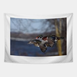 Together Forever - Wood Ducks Tapestry