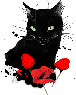 Black Cat and Red Poppies Magnet