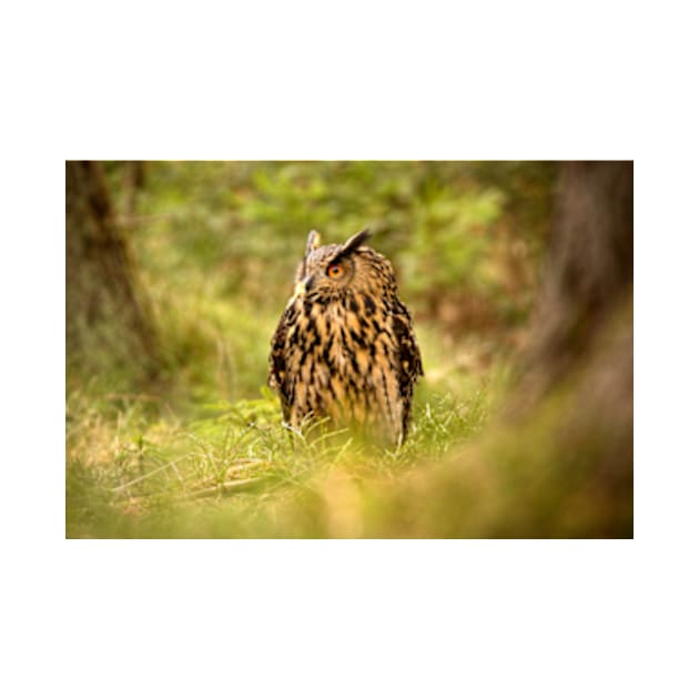 Eagle Owl by Femaleform