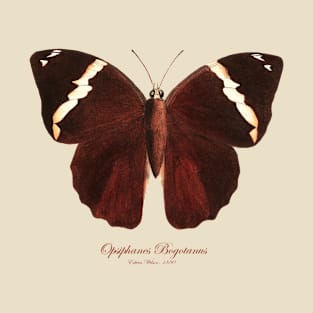 Butterfly - Opsiphanes Bogotanus T-Shirt