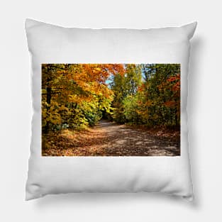 Take a Hike Pillow