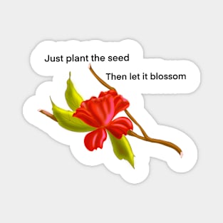 Just Plant the Seed Magnet