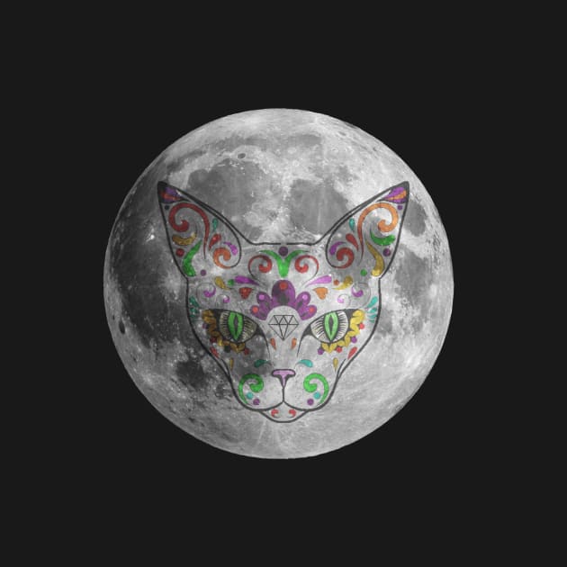 Can you believe they put a cat on the moon? by charlescheshire