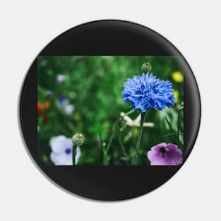 Cornflower Pin