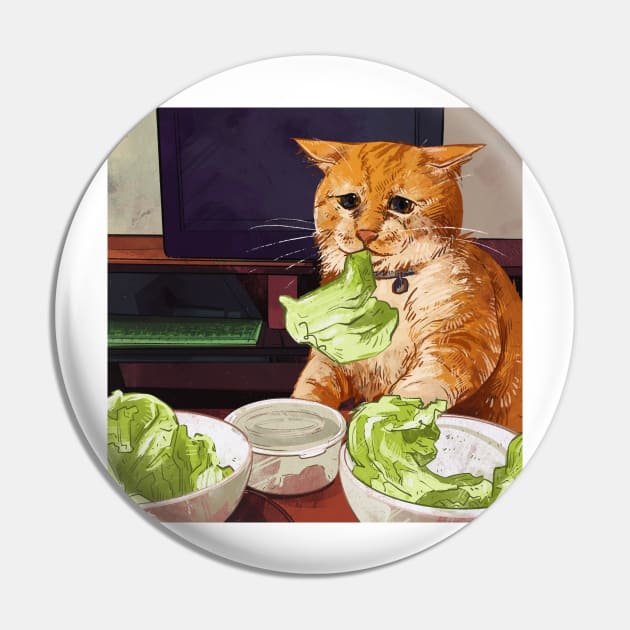 cat in a diet Pin by gristiannn