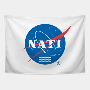 NATI - NASA Tapestry