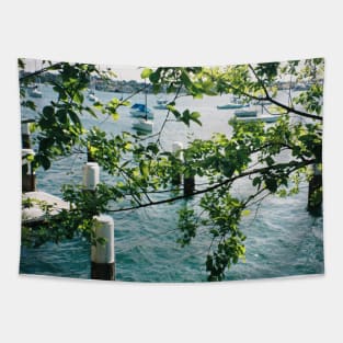 Harbour Haven: Sydney Dock Through Tree Branches Film Photo Tapestry