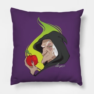 Ugly Old Witch Pillow