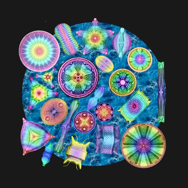 Ernst Haeckel Rainbow Diatoms over Water by Scientistudio