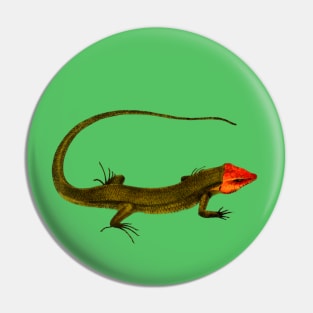 lizard Pin