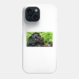 Playful, Honest ! Phone Case