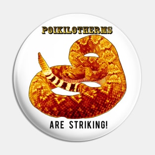 Poikilotherms (Rattlesnakes) Are Striking! Pin