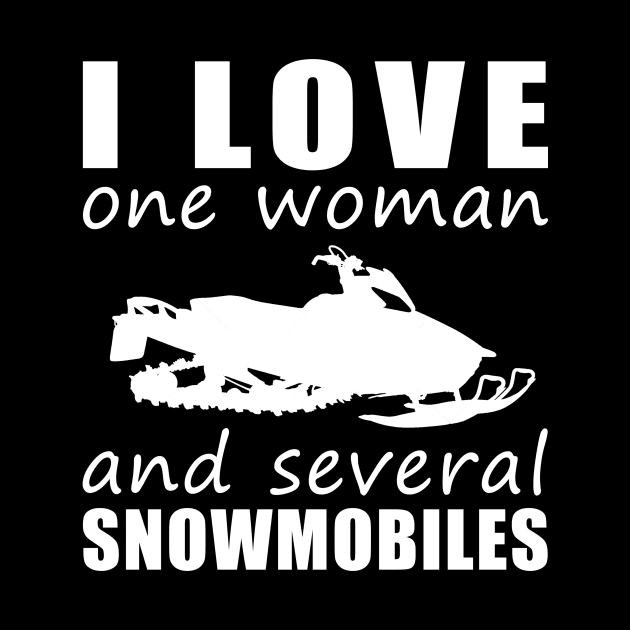 Winter Wonderland Love - Funny 'I Love One Woman and Several Snowmobiles' Tee! by MKGift