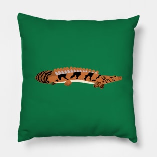 Saddled Bichir Pillow