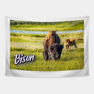 Bison at Yellowstone Tapestry