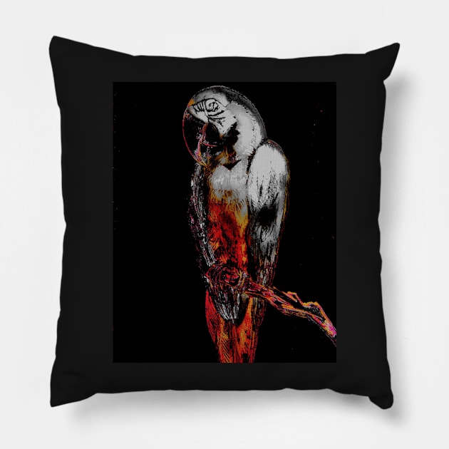 BEAUTIFUL SILVERED MACAW ON BLACK Pillow by jacquline8689