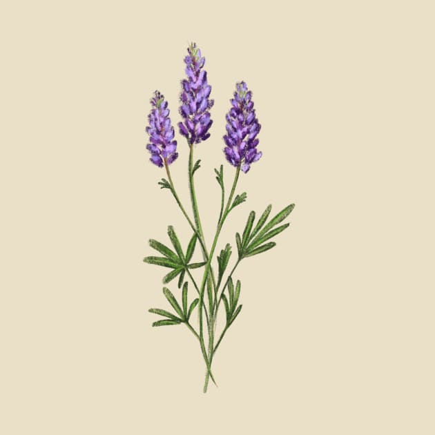 Lupine Wildflower by Lukeh Designs