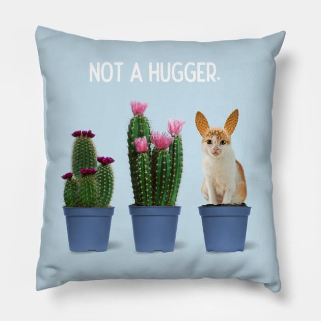 Not a Hugger Pillow by leBoosh-Designs