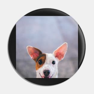 Happy Jack Russel Terrier Pin